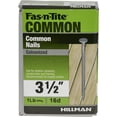 thumbnail image 7 of 16D Hot Dipped Galvanized Common Nails (3-1/2") - 1 lb, 7 of 7
