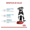 thumbnail image 3 of Royal Canin Large Puppy 13.6 Kg Original Sellado, 3 of 3