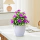 thumbnail image 1 of Simulación de ciruelos de cinco hojas en macetas, plantas de bonsái, simulación de flores, ideal para decoración de interiores, jardines, terrazas y escritorios de oficina., 1 of 5