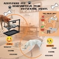 thumbnail image 2 of Cuencos Elevados TIDANT Acero Inoxidable Altura Ajustable para Perros Grandes, 2 of 6