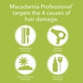 thumbnail image 5 of Champú Macadamia Professional para el cuidado del cabello con sulfato y parabeno, 300 ml, 5 of 5
