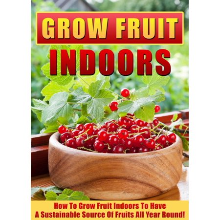 Grow Fruit Indoors How To Grow Fruit Indoors To Have A Sustainable Source Of Fruits All Year Round! - (Best Herbs To Grow Indoors Year Round)