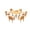 Teak, variant on Grade-A Teak Dining Set: 6 Seater 7 Pc: 60" Round Table And 6 Giva Chairs (2 Arm & 4 Armless Chairs) Outdoor Patio WholesaleTeak #51GV1207
