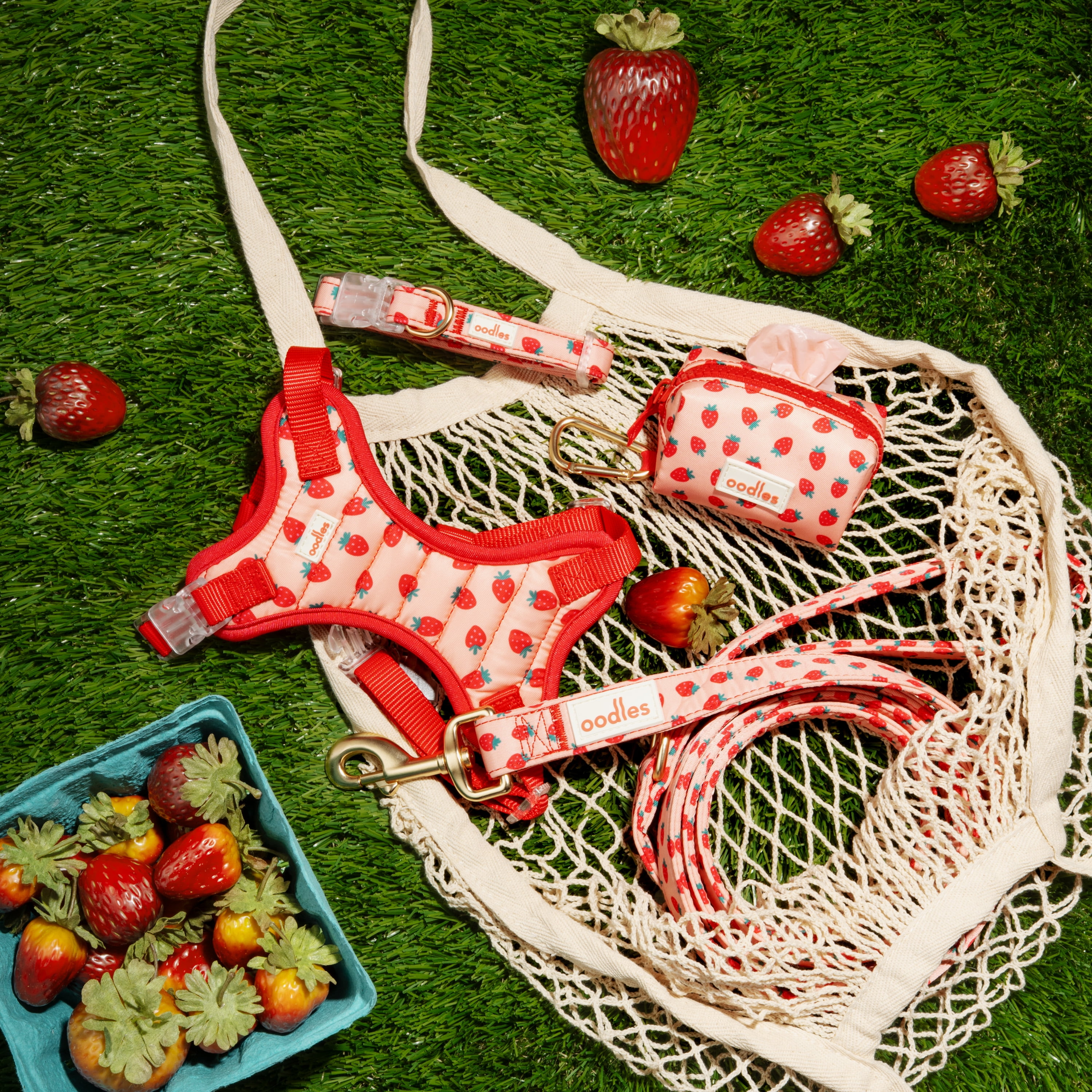 Oodles Sweet Strawberry Dog Walking Harness, Large