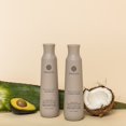 thumbnail image 3 of Acondicionador Onesta Hair Care hidratante a base de plantas 480 ml, 3 of 4