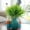 LLNew--Green, variant on 100Fens Artificial Plants Simulated Persian Grass Christmas and Thanksgiving Green Plant Decorations Suitable for Room Home Garden Decoration and Holiday Decoration
