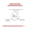 thumbnail image 2 of Alimento para Perro Royal Canin Skin Care Adult 10 kg Royal Canin Veterinario 10 kg, 2 of 2