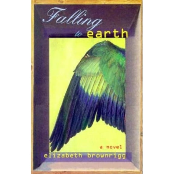 Falling to Earth, (Paperback)