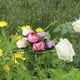 Poteaux de Jardin de Support de Plante, Adstro Mini DIY Escalade Treillis Fleur Soutient les Cages de Pivoine pour les Concombres de Roses de Lierre – image 5 sur 5