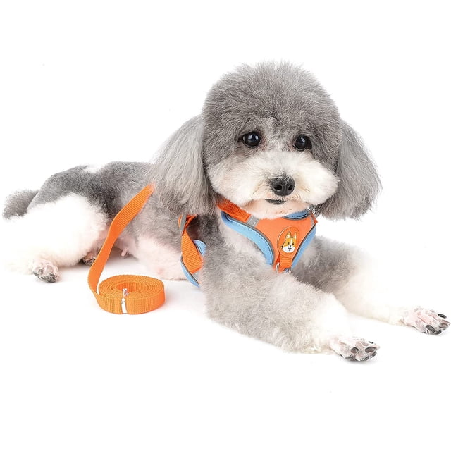 Naranja - Conjunto de arnés y correa para perros pequeños, arnés reflectante ajustable antitirones para cachorros, chaqueta de gamuza suave, arnés antiescapes para gatos Chihuahuas y Yorkshire Terrier