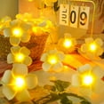 thumbnail image 2 of LED Plumeria Flower String Lights,Foam Artificial Plumeria Flower Light,USB Powered Fairy Lights for Indoor Bedroom Home Wedding Hawaiian Luau Party Decor (20FT 40LED), 2 of 8