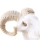 thumbnail image 5 of 2x Cráneo de animal de resina - Accesorios de decoración de acuarios y viveros no tóxicos para de mascotas Divertidos Fernando  Grandes decoraciones para acuarios, 5 of 8