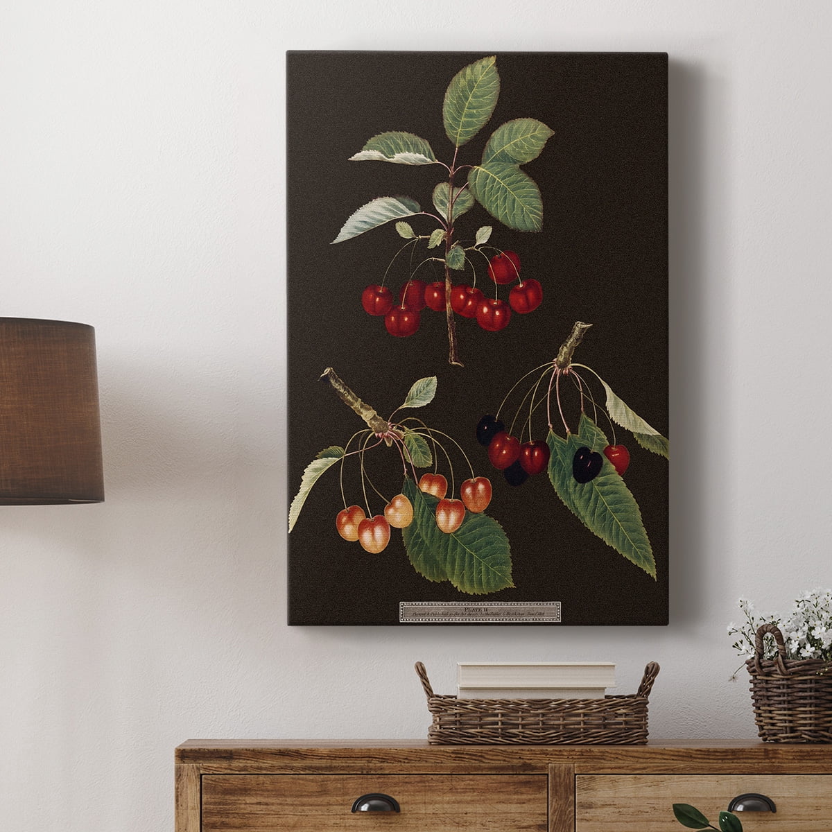 Brookshaw Cherries Premium Gallery Wrapped Canvas - Ready to Hang