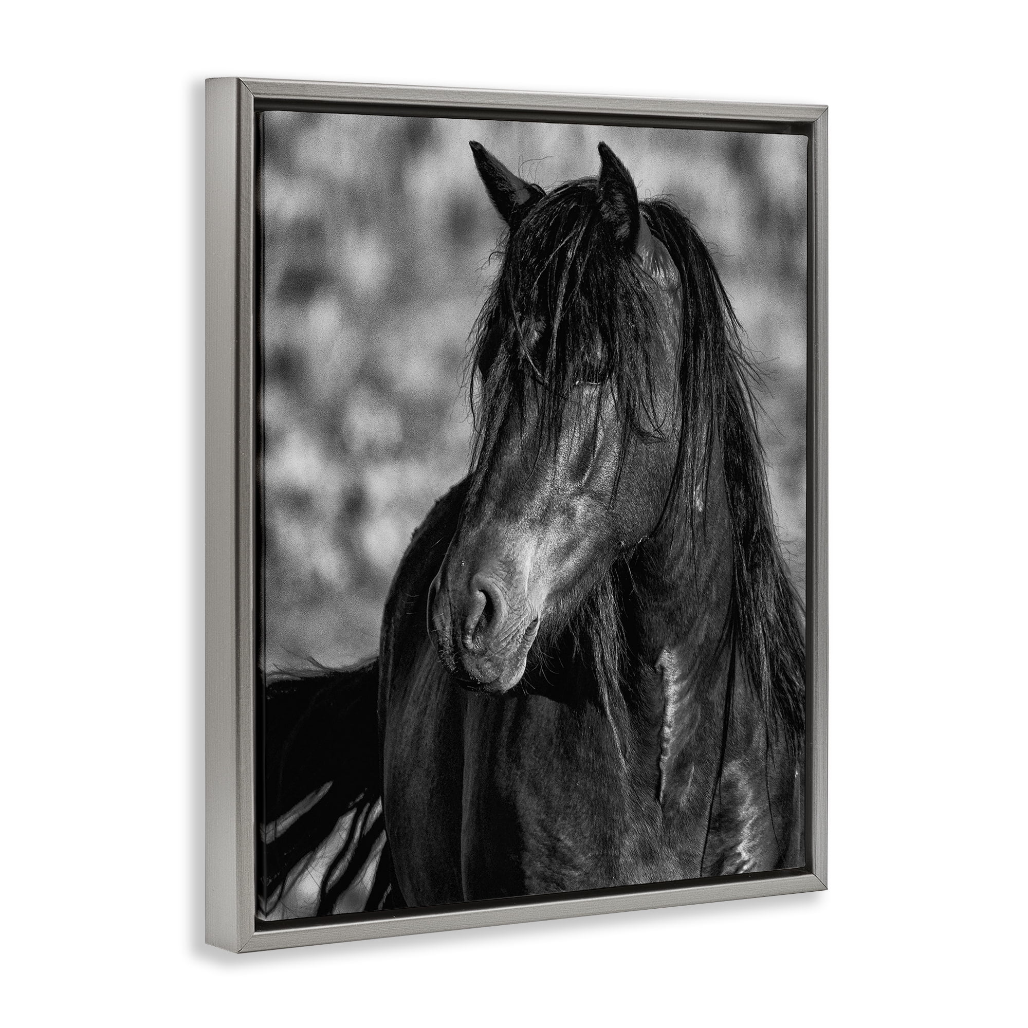 Stupell Industries Beauty In Black Gray Framed Floater Canvas Wall Art, design by Tim West