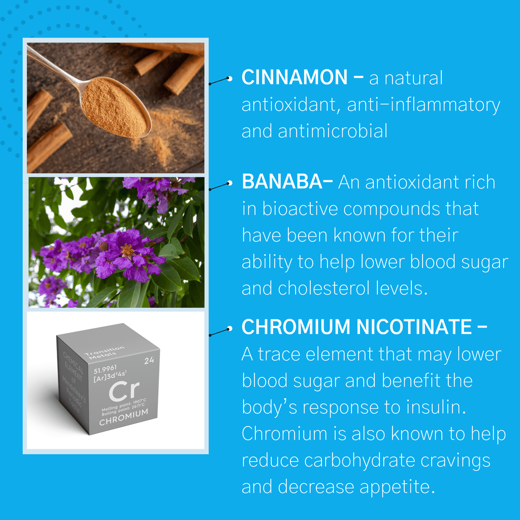 Consult Beaute Berberine+ with GlucoVantage with Cinnamon 60 Tablets