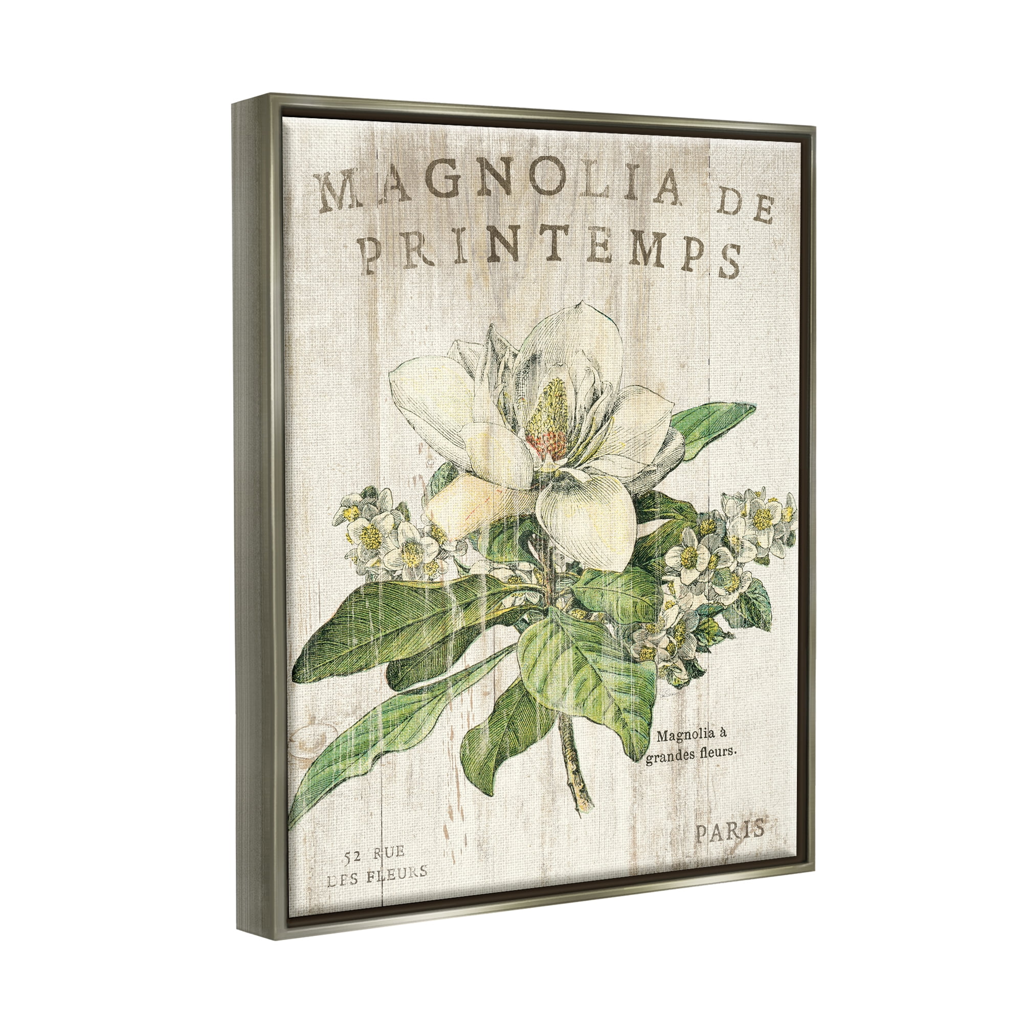 Stupell Industries French Magnolias In Spring Luster Gray Framed Floating Canvas Wall Art, 16x20, by Sue Schlabach