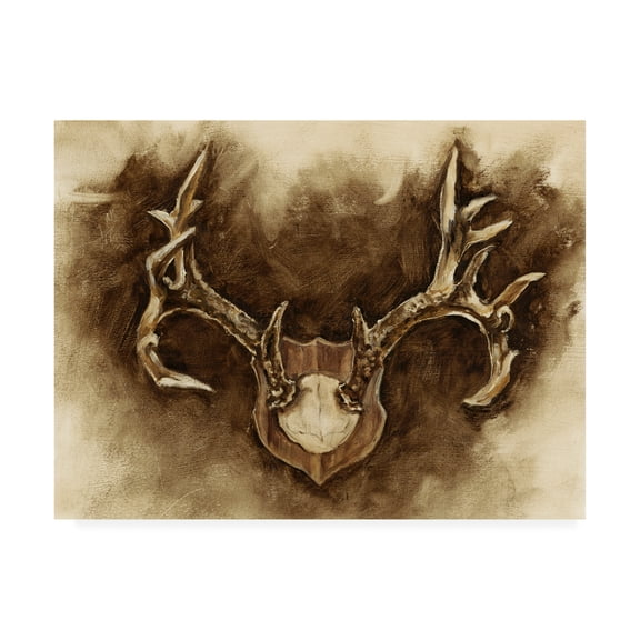 Trademark Fine Art 'Rustic Antler Mount I' Canvas Art by Ethan Harper