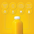 thumbnail image 6 of 16 oz Clear Plastic Bottles with Lids for Juices, Smoothies & Milk Displastible (12-Pack), 6 of 8
