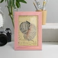 thumbnail image 5 of Seashell Ephemera V - Framed Print w/glass - Sunset Pink, 5 of 8