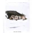 thumbnail image 2 of Pekingese Dog Lying On A Sofa Poster Print By Mary Evans Picture Library (18 X 24), 2 of 4