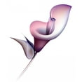 thumbnail image 2 of Calla Lily Wall Decal by Wallmonkeys Peel and Stick Graphic (48 in H x 41 in W) WM215922, 2 of 4