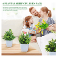 thumbnail image 5 of Plantas Artificiales Macetas Decorativas Bonsai Hogar 6 pzs, 5 of 5