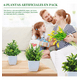 thumbnail image 5 of Plantas Artificiales Macetas Decorativas Bonsai Hogar 6 pzs, 5 of 5