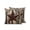 brown, variant on Outdoor Pillows Waterproof, Western Texas Stars Bedding Throw Pillows with Insert for Couch Sofa Bed, Farmhouse Vintage Wooden Plank 16x16 Inch Pillowcases Decorative Camping Patio Pillow Set of 2