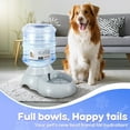 thumbnail image 3 of Flexzion 3.0 L PET Dog/Cat Water Fountain with Antimicrobial Protection, 3 of 9