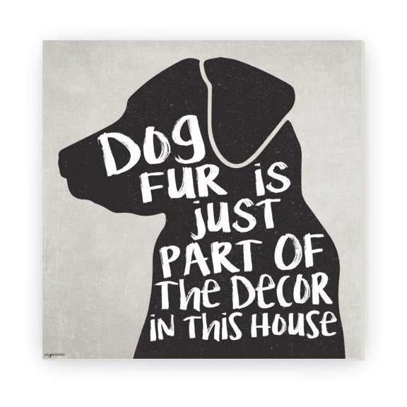Dog Fur Is Just Part Of The Decor In This House Rustic Wood Sign 12x12 (Unframed)