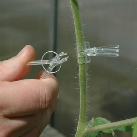 Tomato & Vegetable Spring Loaded Grafting Clips - 100 (Best Rootstock For Grafting Tomatoes)