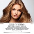 thumbnail image 2 of Dry Shampoo, Fluffy No-Rinse Shampoo, Refreshing Dry Shampoo For Hair Growth, Oil Remover Long-Lasting Styling Shampoo, 2 of 4