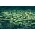 thumbnail image 2 of Mahan, Kathy 14x11 Black Ornate Wood Framed with Double Matting Museum Art Print Titled - Sol Duc River Rocks I, 2 of 4