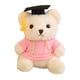 thumbnail image 2 of Oso de peluche con sudadera, regalo de graduación, adorable juguete de oso, regalo de cumpleaños, oso de peluche con sudadera, tela de felpa suave, regalo perfecto para la temporada de, 2 of 9