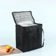 thumbnail image 2 of Bolsa térmica grande NQ plegable con cremallera, 2 of 5