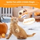 thumbnail image 5 of Paquete de 6 Juguetes con Hierba Gatera Timcorr de Calavera de Halloween, 5 of 8