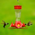 thumbnail image 2 of Perky-Pet Pinch Waist Glass Hummingbird Feeder, 2 of 9