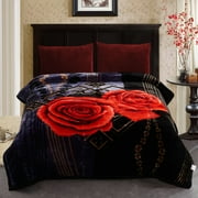 Thick Warm Winter Fleece Blanket For King Bed 2 Ply Reversible Soft Raschel Blanket,85x93,10lb