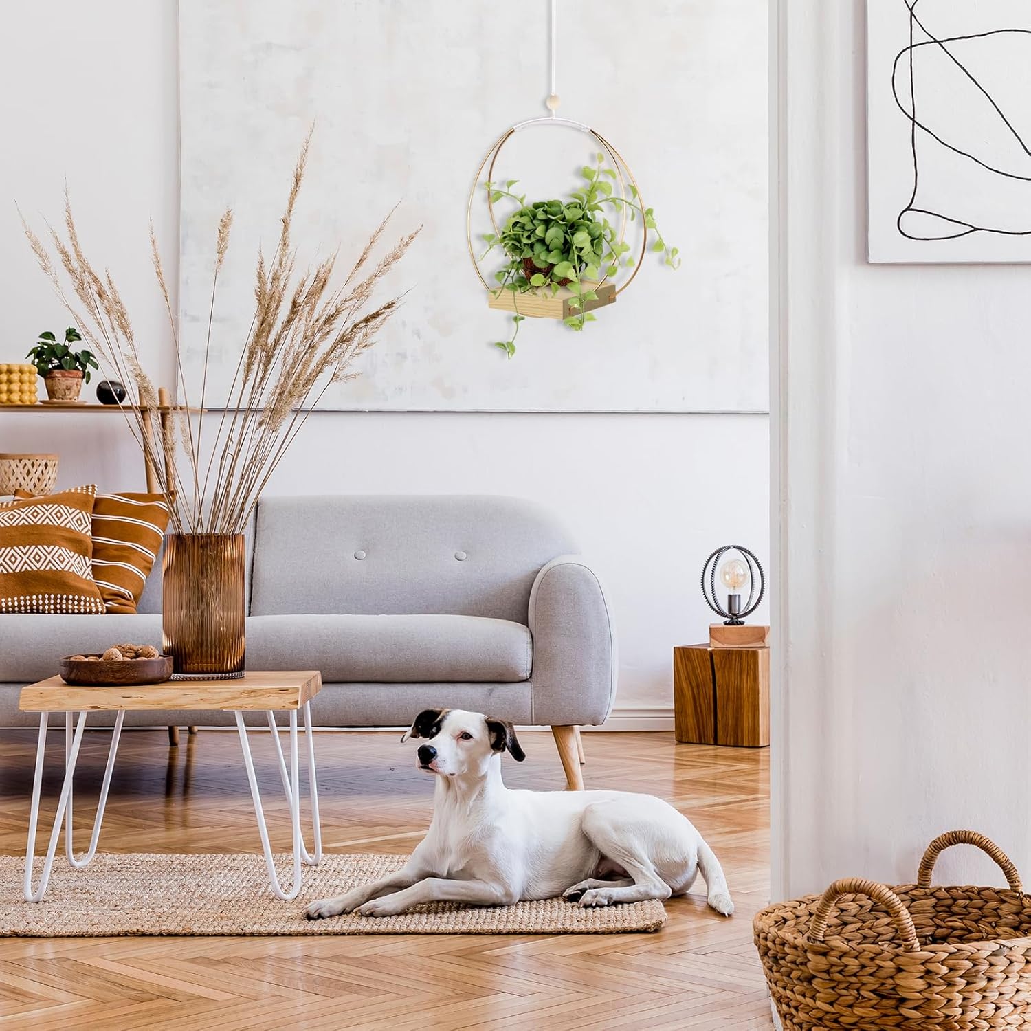 Hanging Planters for Indoor Plants - Plant Hanger Outdoor, Metal Plant Hanger Mid Century  Macrame, Hanging Wall Ceiling Window, Gift for Mom, Plant Lovers, Housewarming