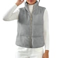 thumbnail image 4 of TGSLY Sherpa Fleece Vest Jacket for Women Warm Soft Stand Collar Zip Up Solid Color Coat Loose Casual Sleeveless Fall Winter Gilet with Pockets XL, 4 of 8