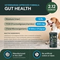 thumbnail image 3 of Polvo para la salud intestinal VetriScience Entero Flora Pro 60 g, 3 of 8