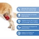 thumbnail image 4 of Rodillera Para Perros, Rodillera Para Perros Con Soporte Acl, Correa Ajustable Para Pierna Para Lesiones De Ligamentos, 4 of 7