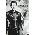 thumbnail image 3 of Marvel Shang-Chi and the Legend of the Ten Rings - Shang-Chi Wall Poster with Pushpins, 14.725" x 22.375", 3 of 5