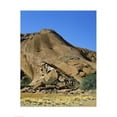 thumbnail image 1 of PVT-Superstock SAL424990 Tourists climbing on a rock  Ayers Rock  Uluru-Kata Tjuta National Park  Australia -18 x 24, 1 of 1