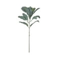 thumbnail image 1 of Hill Interiors Artificial Lambs Ear Single Stem, 1 of 2