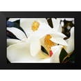 thumbnail image 2 of Hausenflock, Alan 18x13 Black Modern Framed Museum Art Print Titled - Southern Magnolia II, 2 of 5