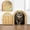 Gold, variant on Purrfect Portal Meow Manor® Cat Door Interior Door - No-Flap, Fits Cats Up to 20 lbs, Easy DIY Setup, No Training Needed