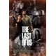thumbnail image 3 of Cuadro sobre lienzo con el juego Ellie, decoración del hogar, arte de pared, juego, programa de televisión, póster The Last of Us, mural estético, decoración de habitación de jugador, 3 of 5
