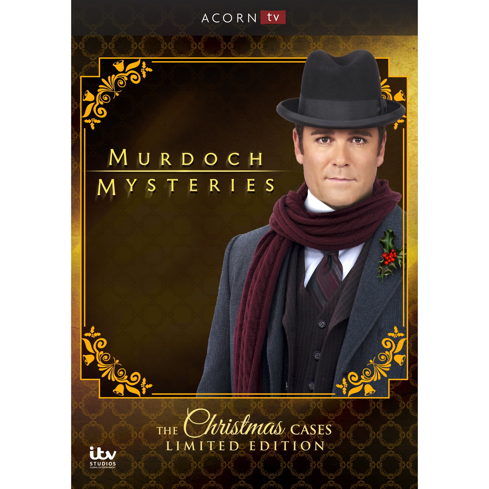 Murdoch Mysteries: Christmas Cases (DVD)
