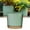 Green1, variant on Xwjun African Violet Pots Planting Pots House Plant Pots Self Watering Plastic Planter With Drainage Hole And Saucer Decorative Flower Pot Flower Pots For Indoor Plants Indoor Plant Pots A